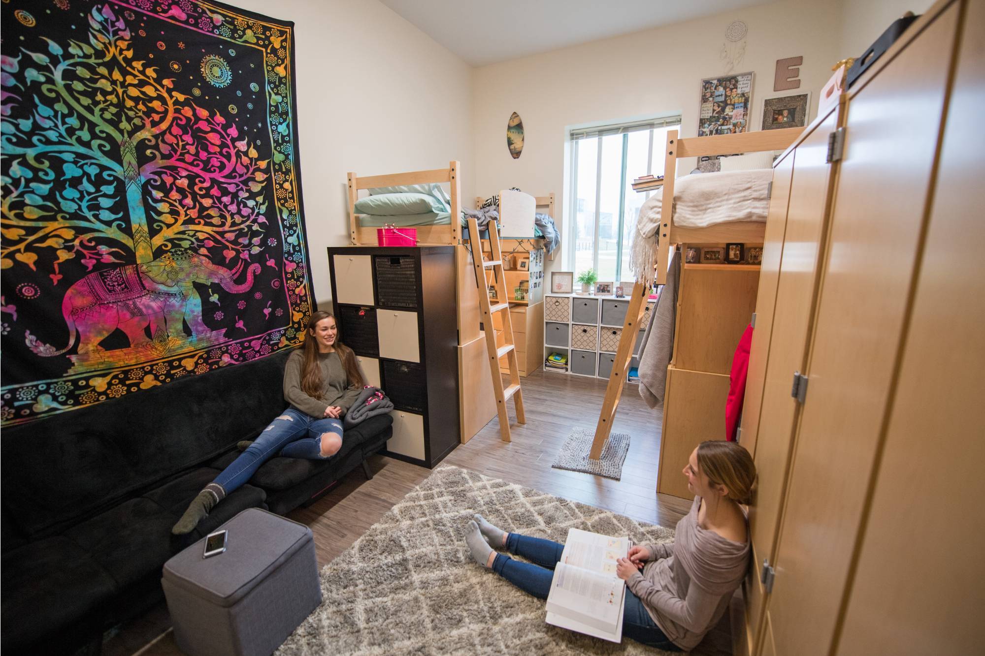 GVSU cluster-style student residents studying in their room.